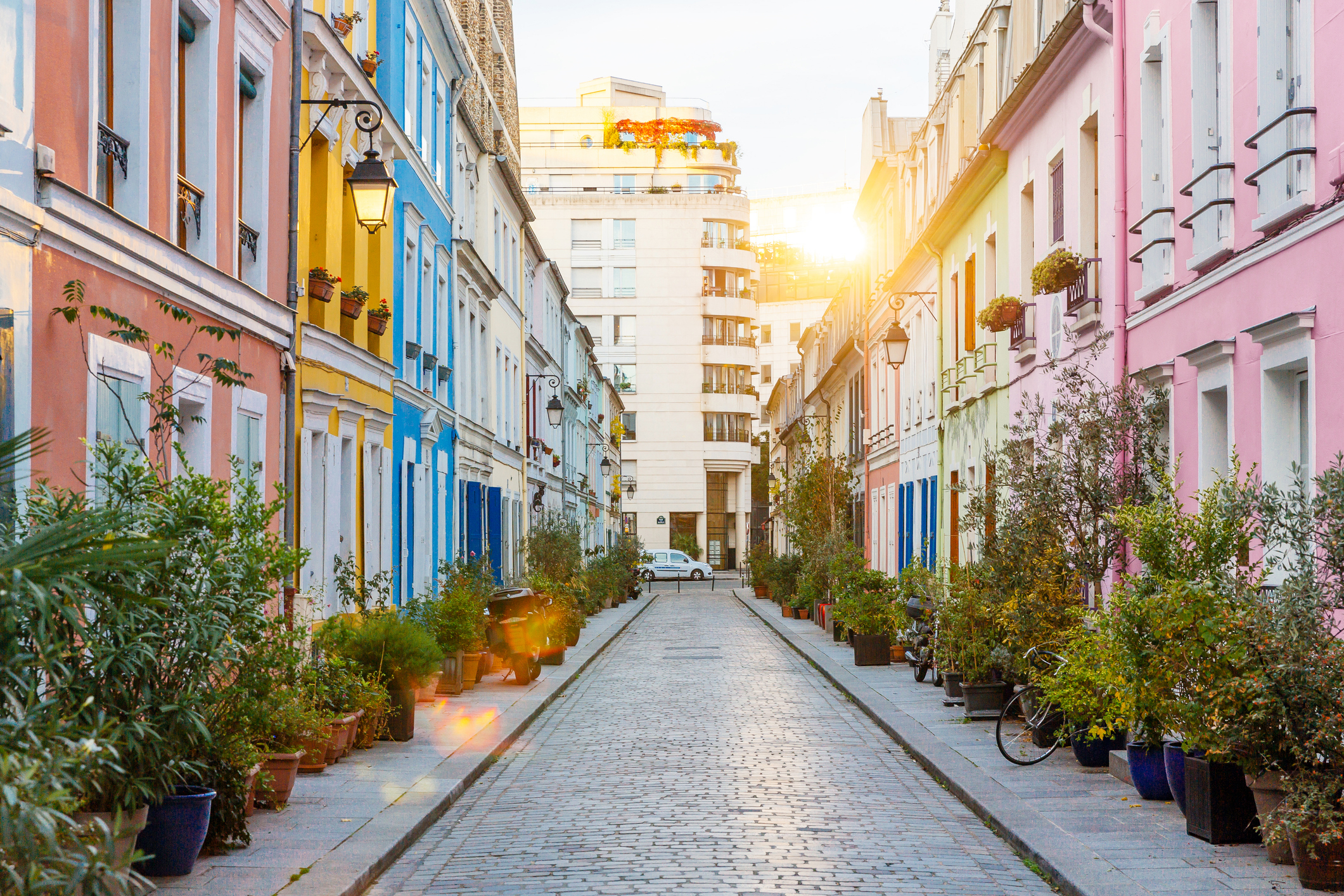 A picturesque narrow street lined with colorful houses and lush plants on both sides, leading to a modern building in the background with the sun shining brightly