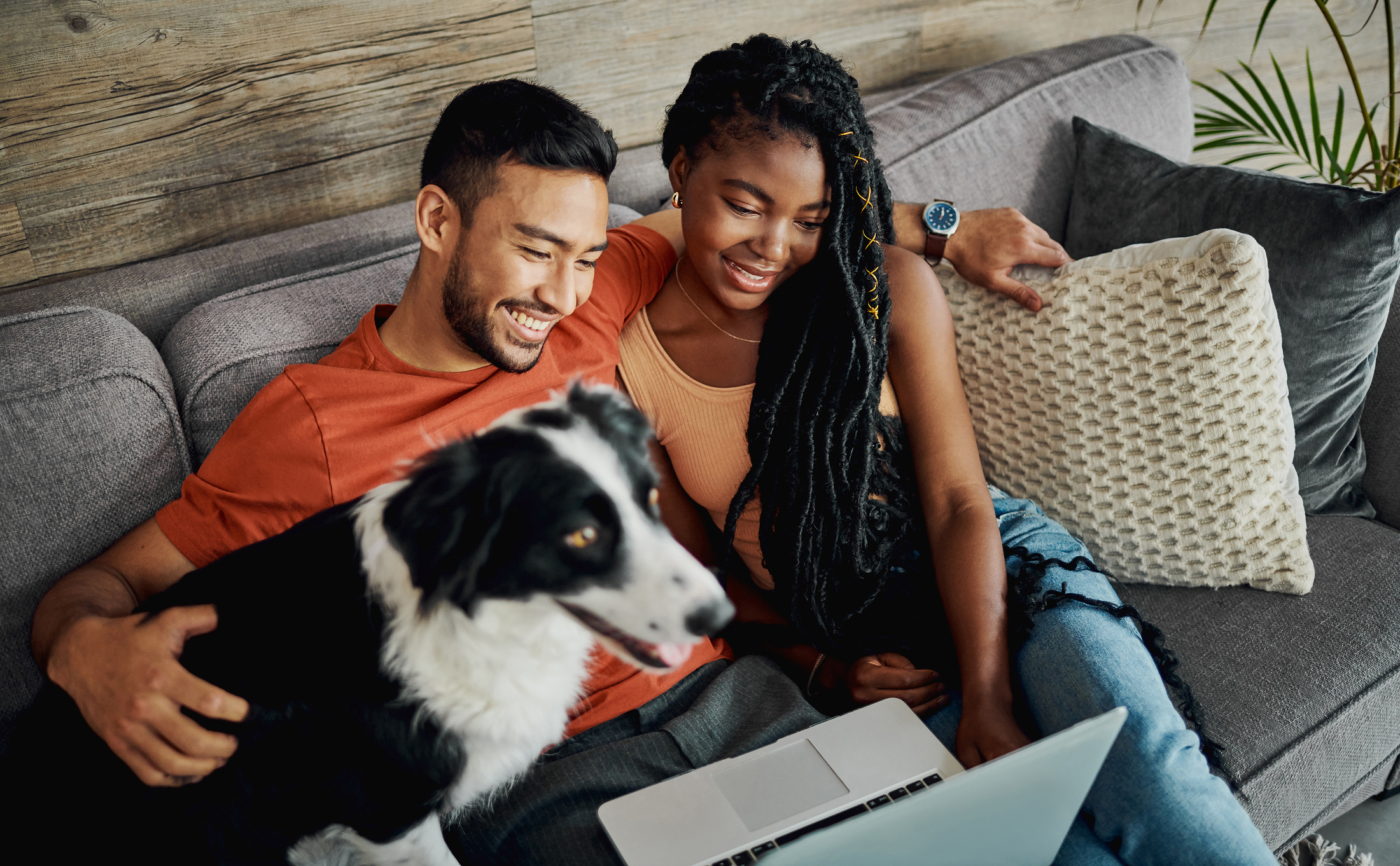 A smiling couple, sitting on a couch with their dog, looks at a laptop together. They appear relaxed and happy. The setting is casual and cozy