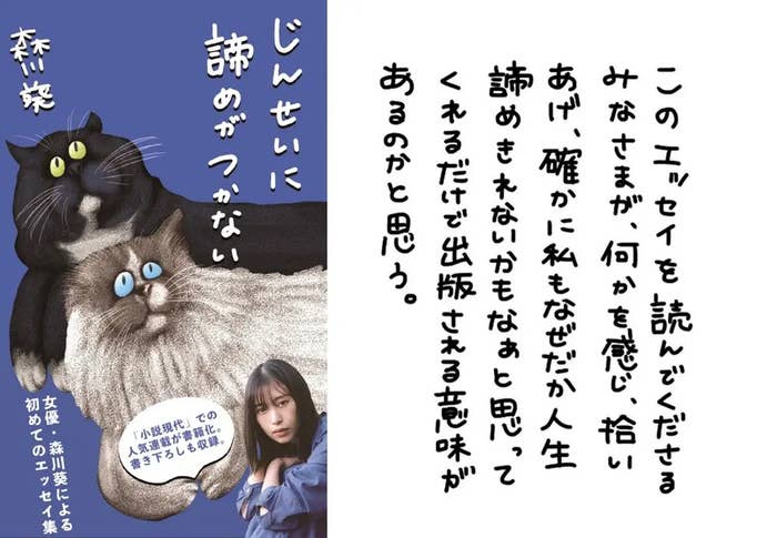 森川葵 (Morikawa Aoi) と2匹の猫が描かれたエッセイ本の表紙。猫たちが机に座っているイラスト。
