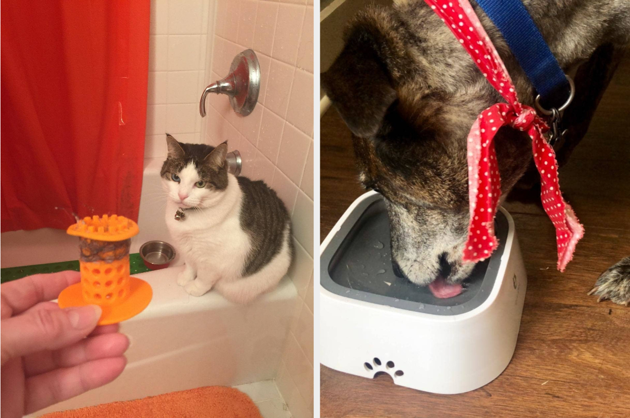 Review photos of the hair removing tool and water dish