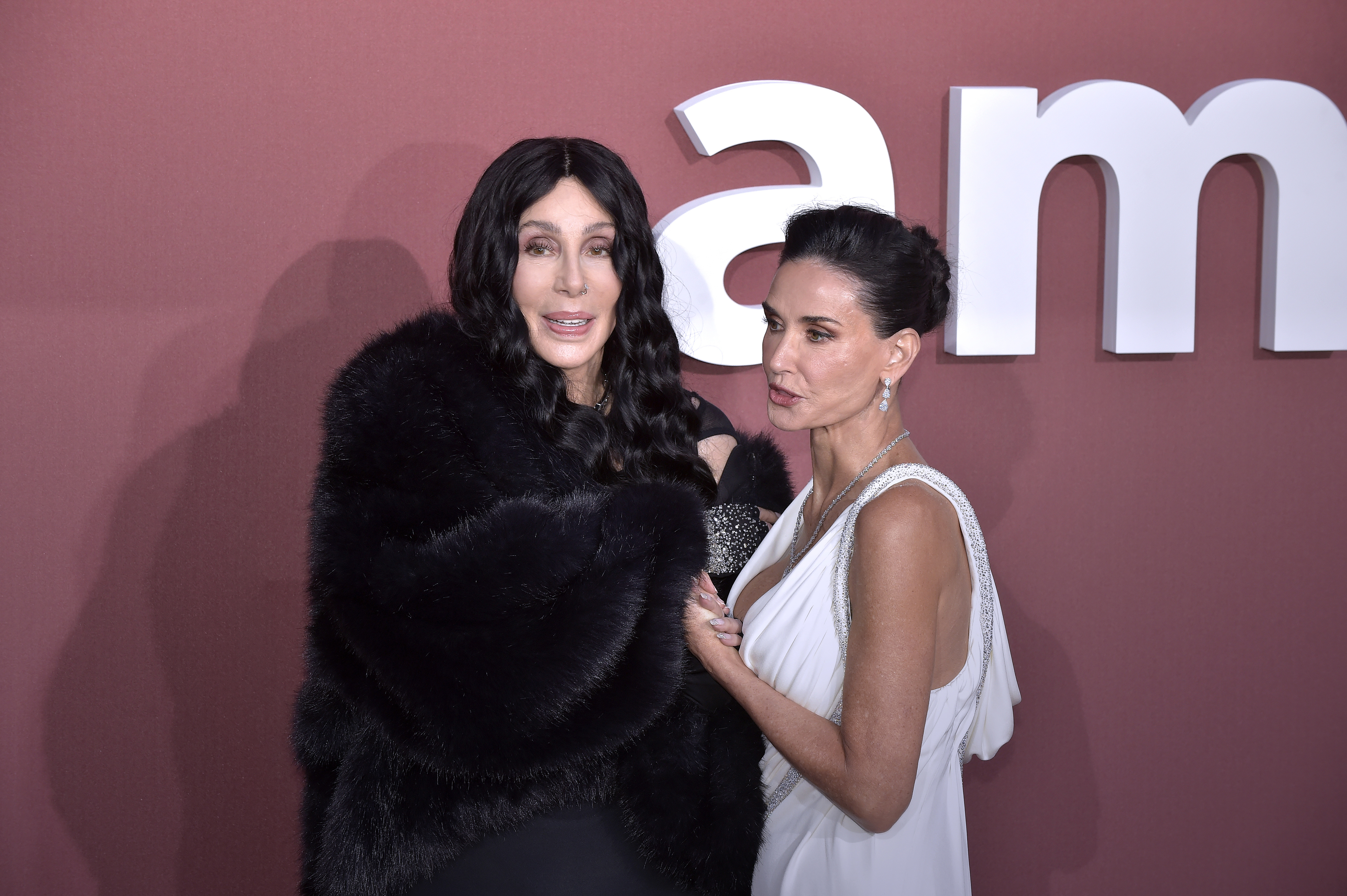 Cher in a fur coat and Demi Moore in a dress attend the amfAR Gala