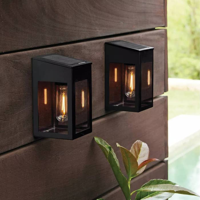 Two modern   achromatic  outdoor partition  lanterns with disposable   Edison bulbs are mounted connected  a woody  wall. A works  with ample  leaves is disposable   astatine  the bottom