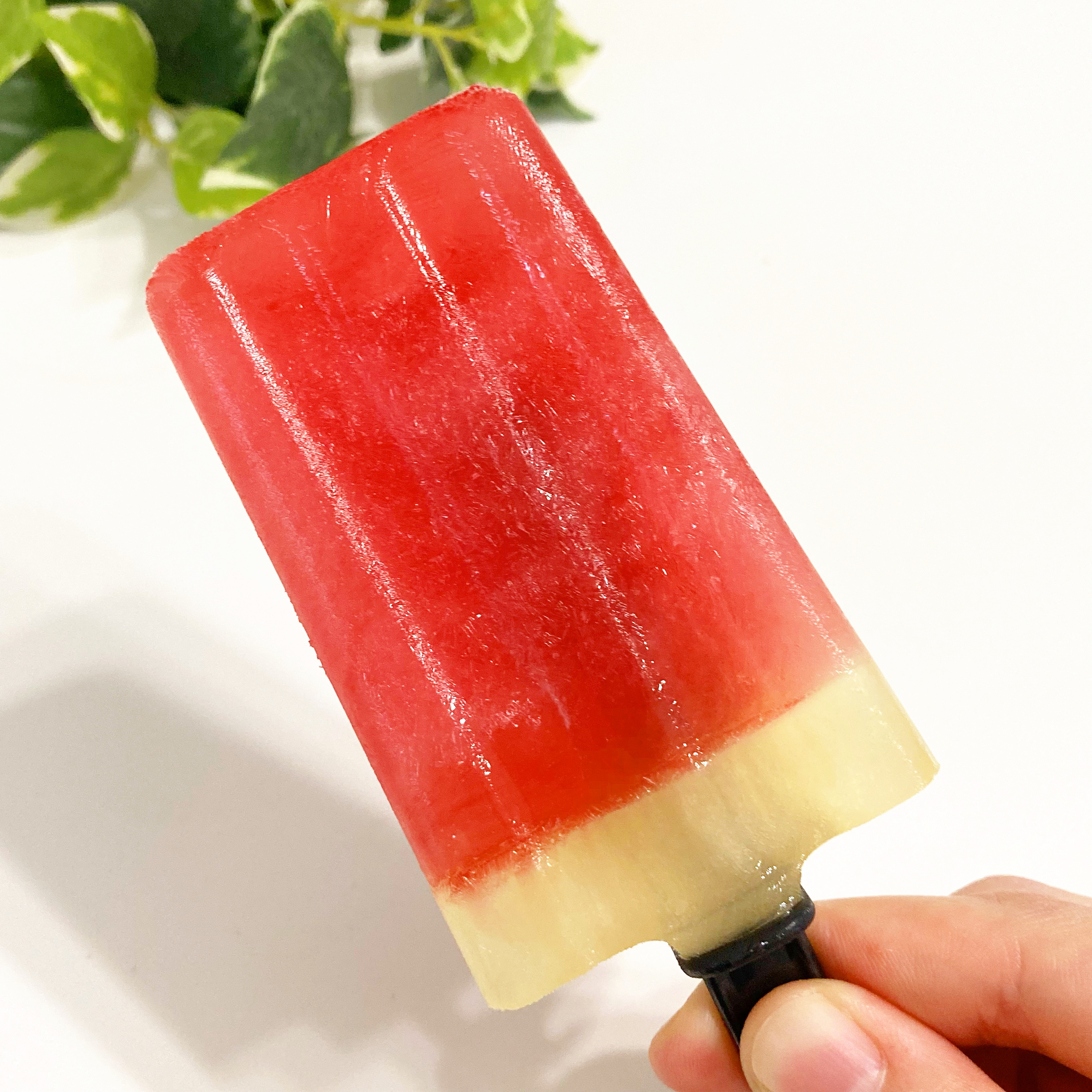 DAISO(ダイソー)で見つけたアイスの素「スイカバーの素」と「メロンバーの素」