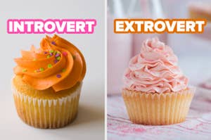 Two cupcakes side by side labeled "Introvert" and "Extrovert." The Introvert cupcake has simple decorations, while the Extrovert cupcake has elaborate pink icing