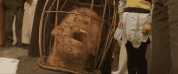 Scene from &quot;The Wicker Man&quot; showing Nicolas Cage in a bee cage headgear, surrounded by bees