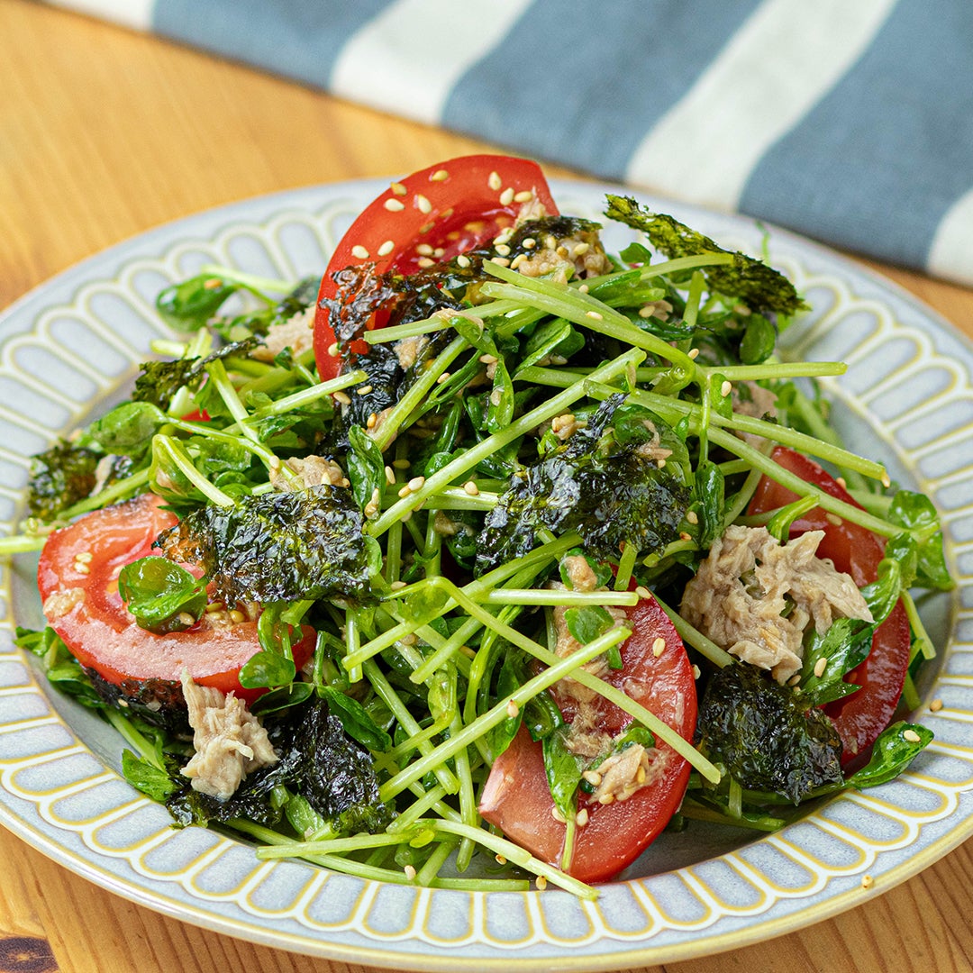 箸が止まらん】豆苗とトマトのやみつき無限サラダ レシピ・作り方｜Tasty