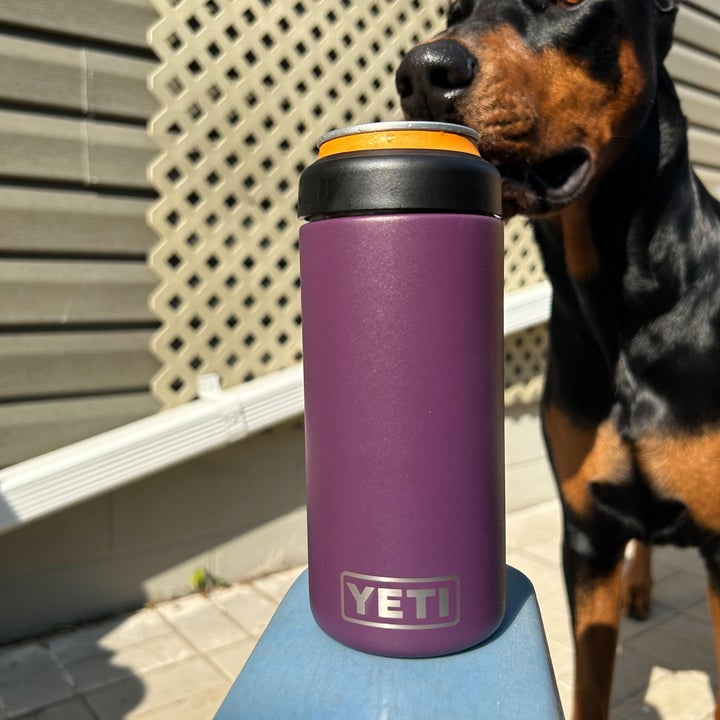 A black and tan dog is seen next to a purple Yeti tumbler in an outdoor setting with lattice and siding in the background. The dog appears to be sniffing the tumbler