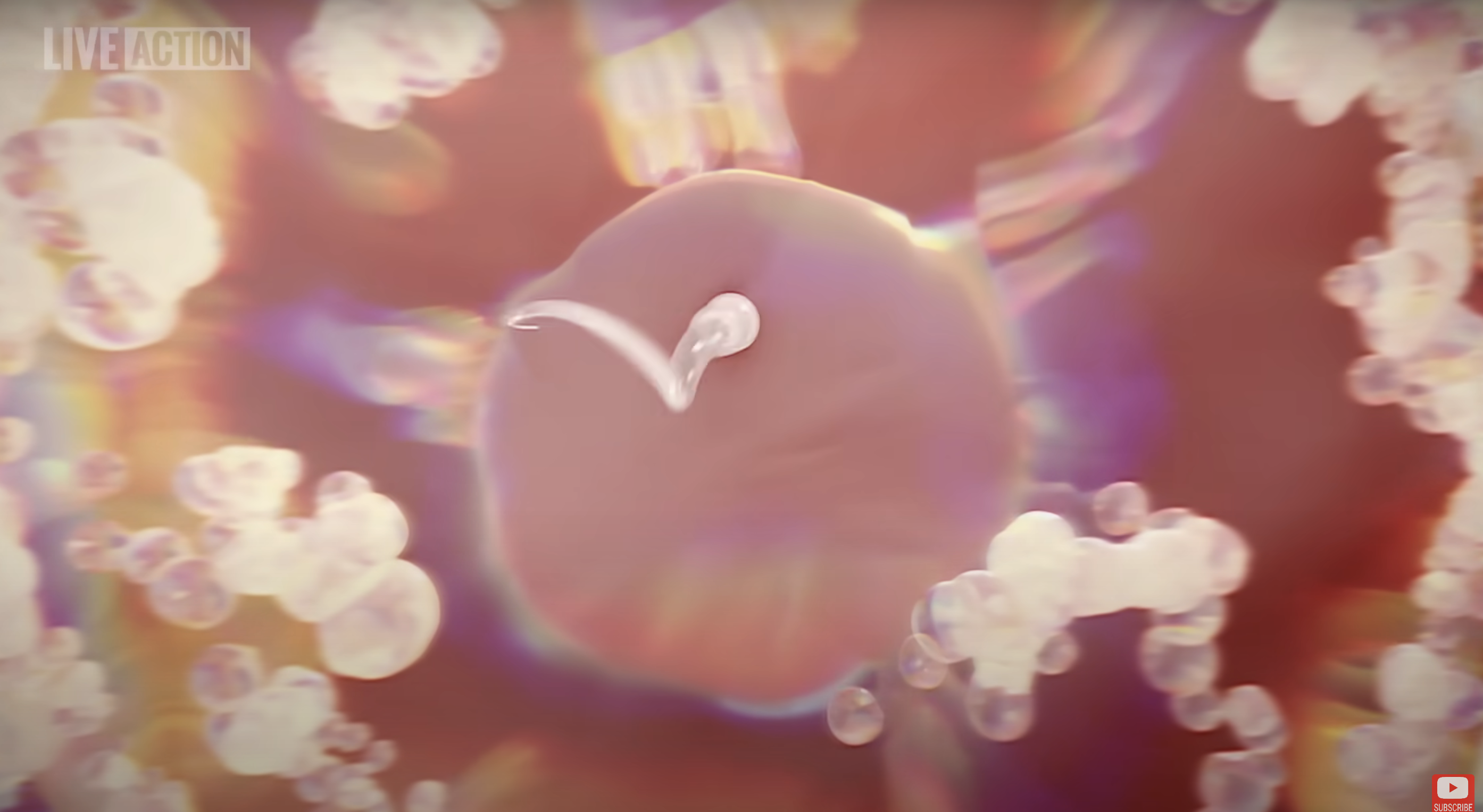 A digital animation of a sperm cell swimming toward an egg, representing fertilization. The background has a soft, abstract design with floating particles