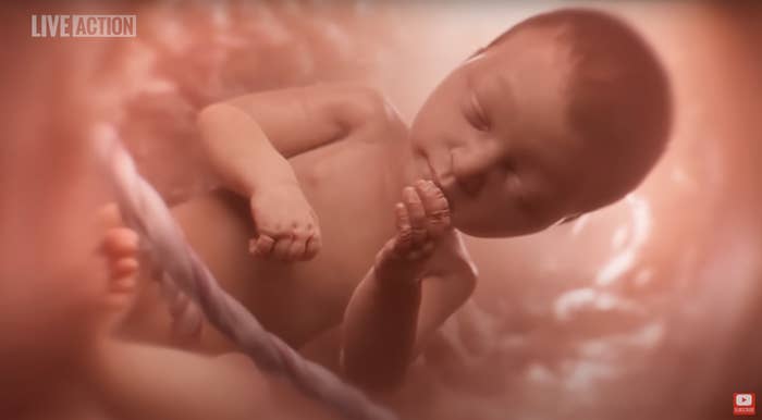 A digital illustration of a fetus in the womb, appearing at an advanced stage of development. The image is labeled "Live Action"