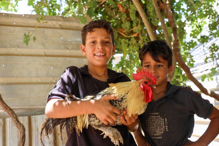Two boys, one holding a rooster, smile under a tree