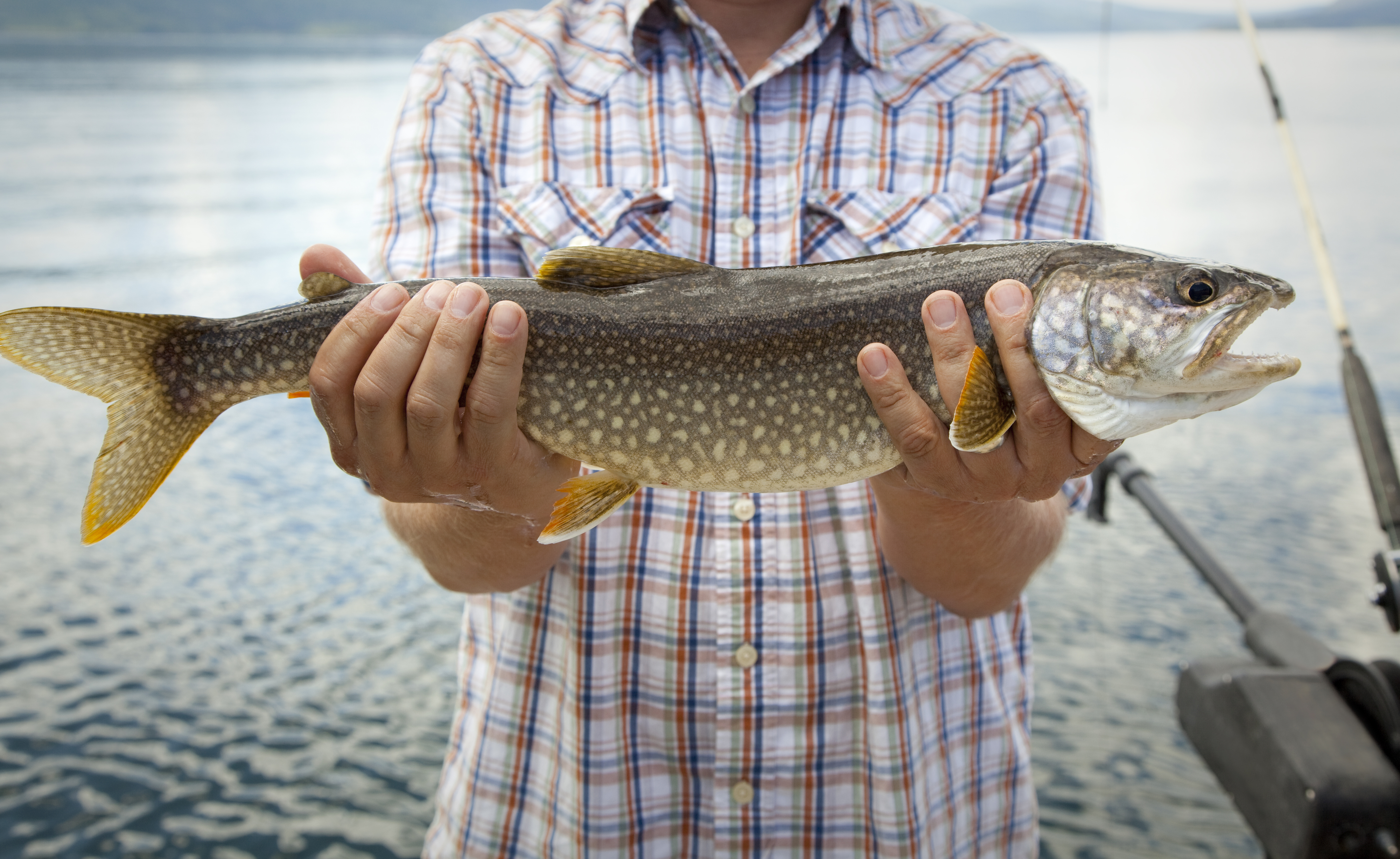 A person holding a large fish, likely caught during fishing on a lake. The person's face is not visible, and they are wearing a checked shirt