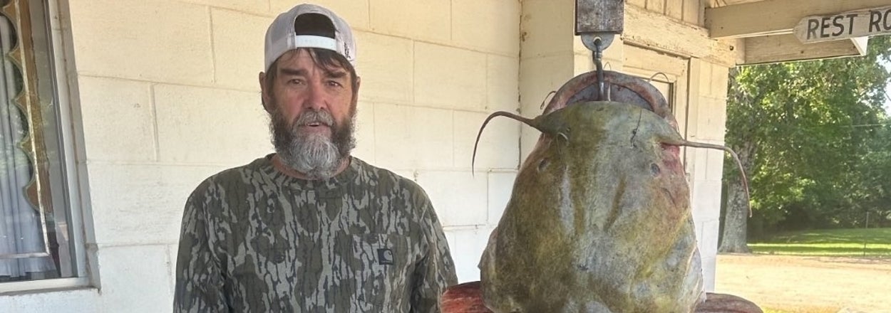 A man with a beard, wearing a camouflage shirt, jeans, boots, and a backwards cap, stands next to a very large catfish hanging from a scale