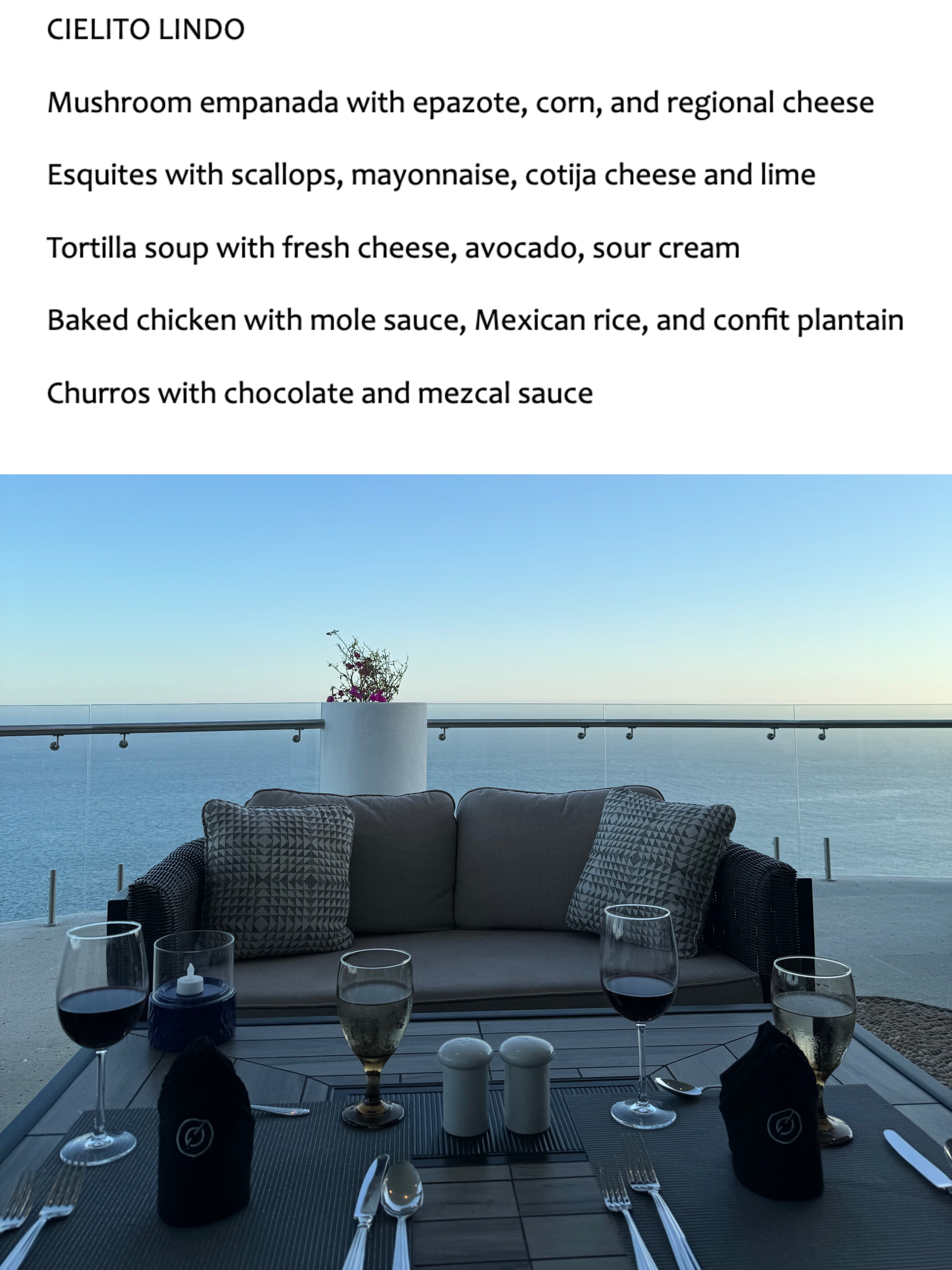 Outdoor seating area overlooking the ocean with a sofa, wine glasses, and utensils set on the table. A potted plant is visible by the railing