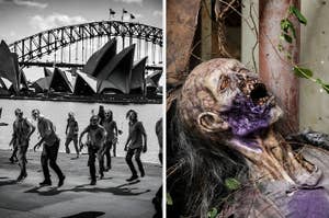 Several zombies approach Sydney Opera House and Harbour Bridge; close-up of a decayed zombie head with mouth open on the right side