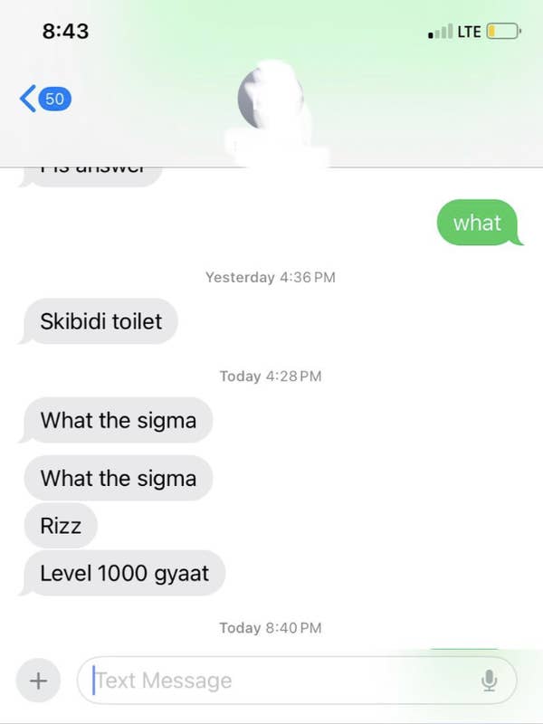 Screenshot of a text message conversation discussing "Skibidi toilet," "What the sigma," "Rizz," and "Level 1000 gyaat."