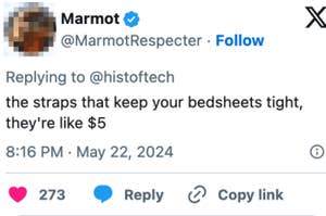 Tweet from Marmot replying to @histoftech: "the straps that keep your bedsheets tight, they're like $5" at 8:16 PM on May 22, 2024. 273 likes