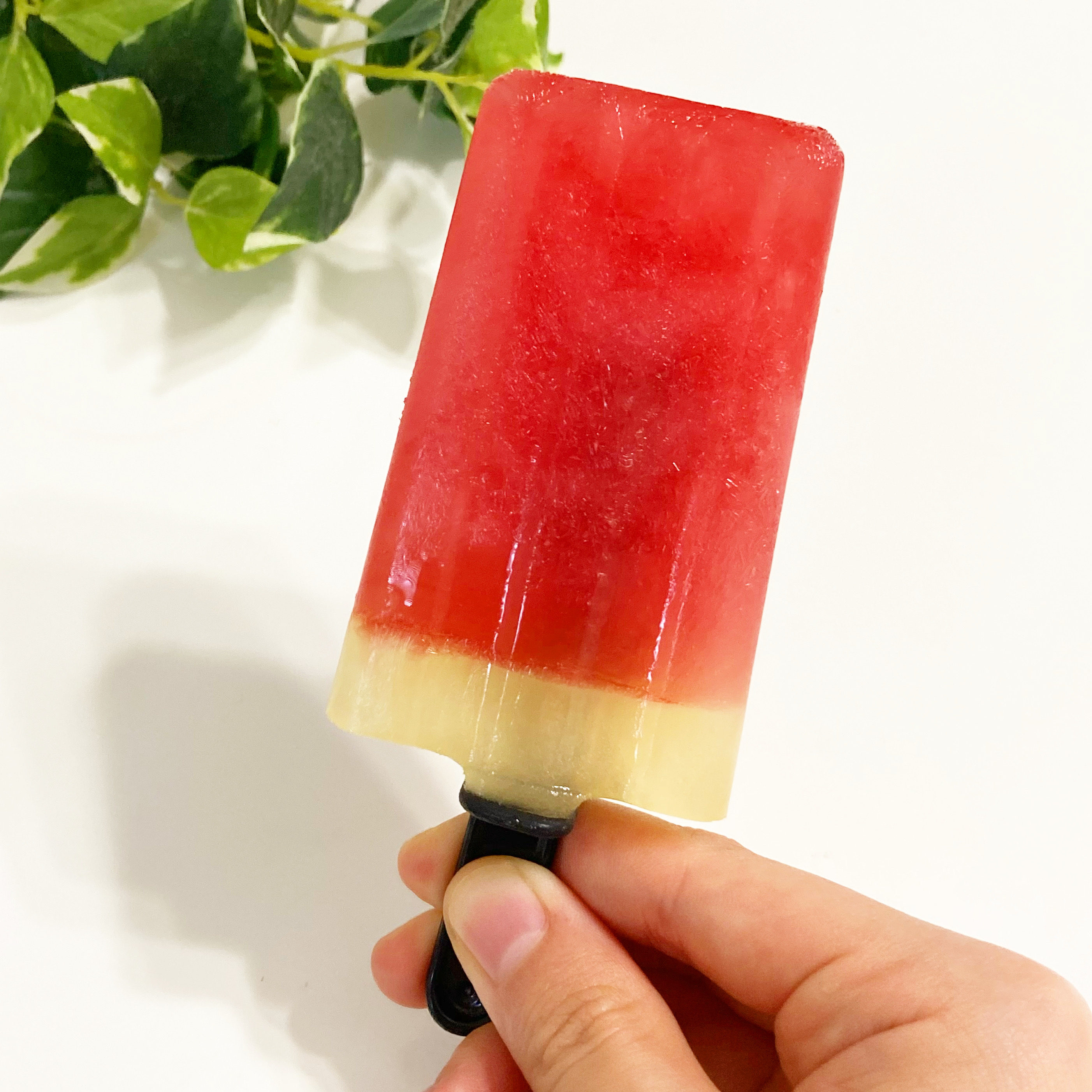 DAISO(ダイソー)の「おうちでアイス」