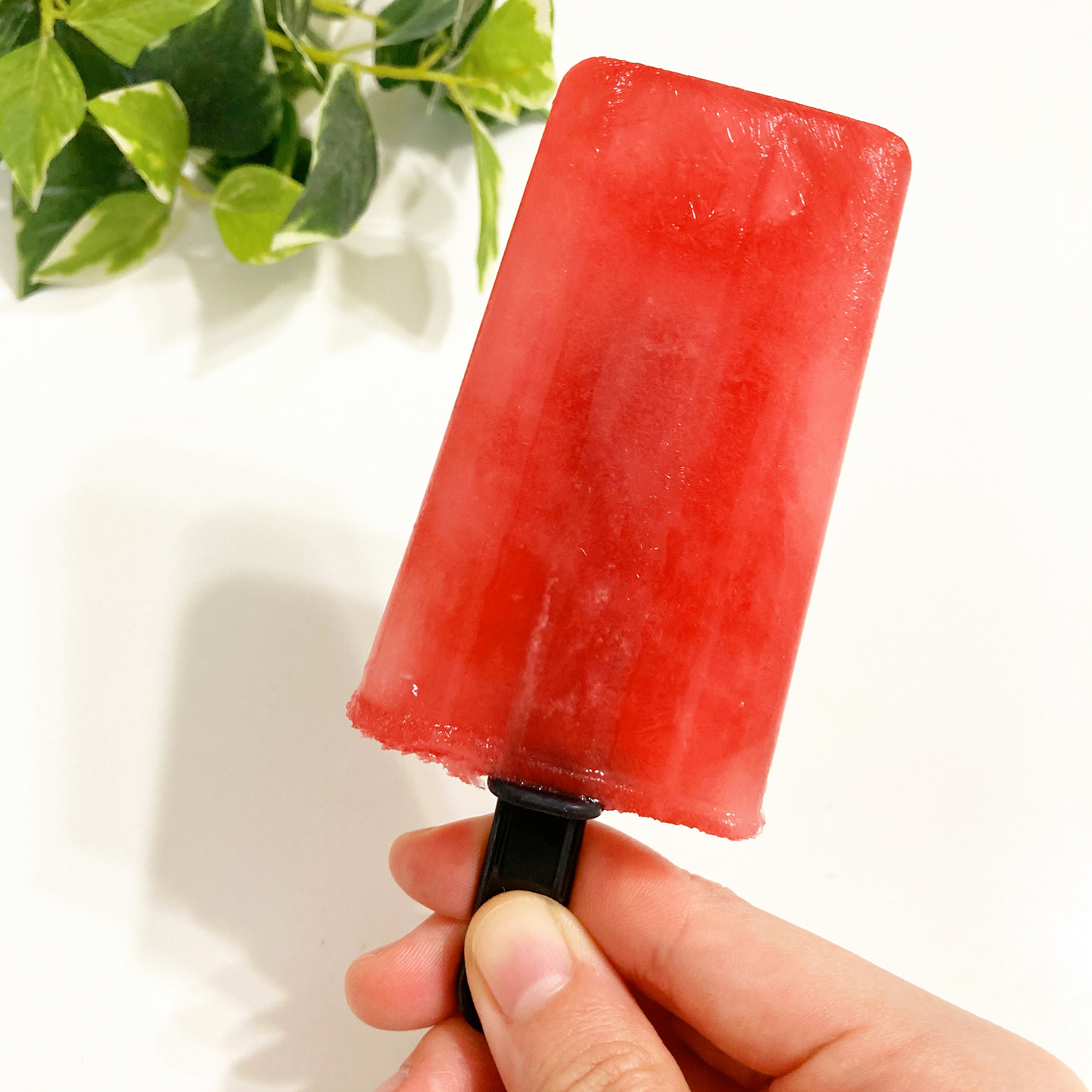 DAISO（ダイソー）のアイスメーカー「おうちでアイス」