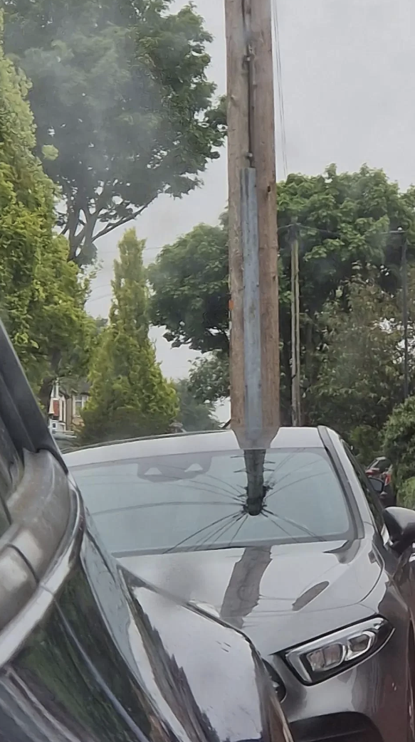 A car with a power pole fallen into its windshield is parked on the side of a tree-lined street