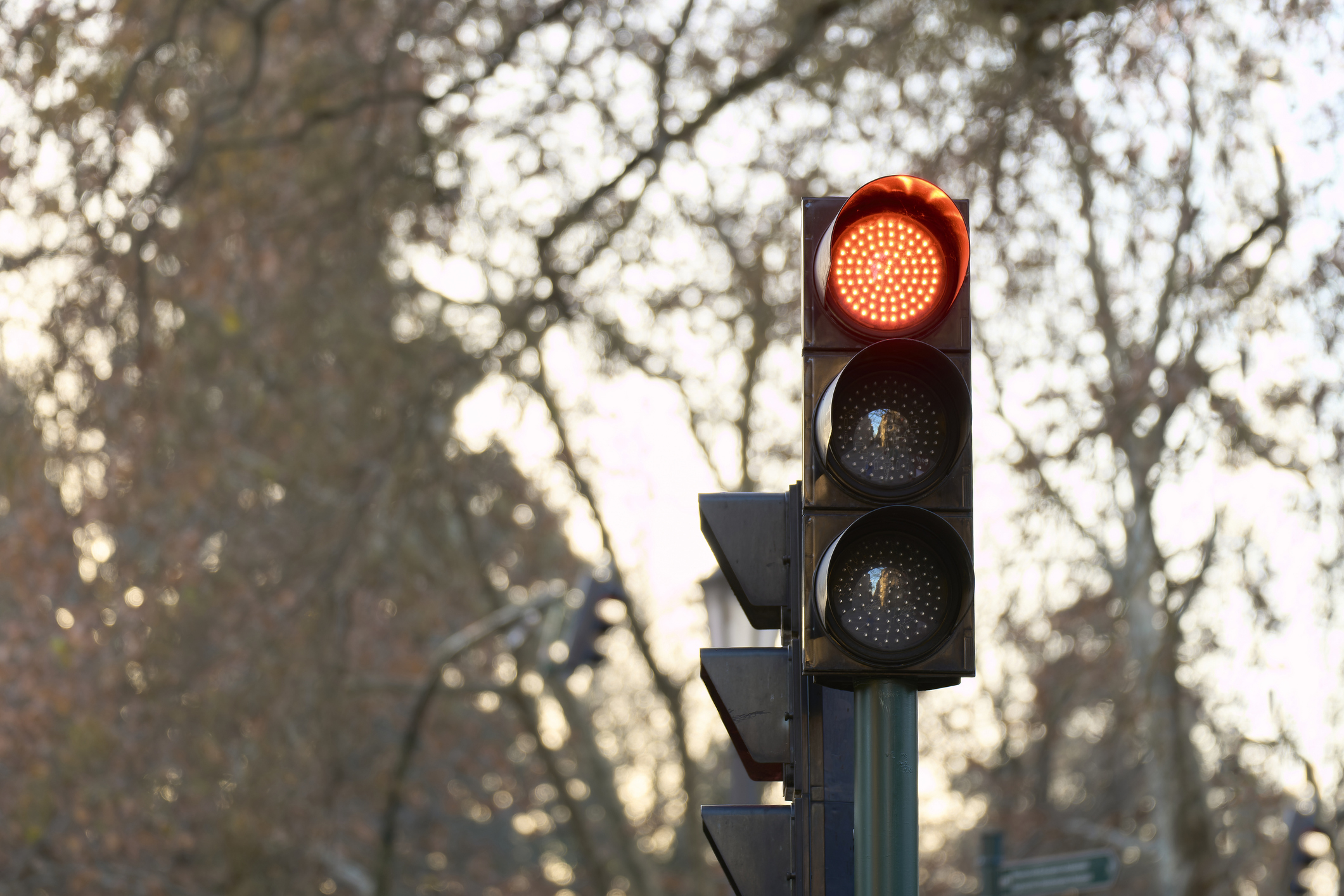 Close-up of a traffic light showing a red signal, set against a blurred background of trees and lampposts