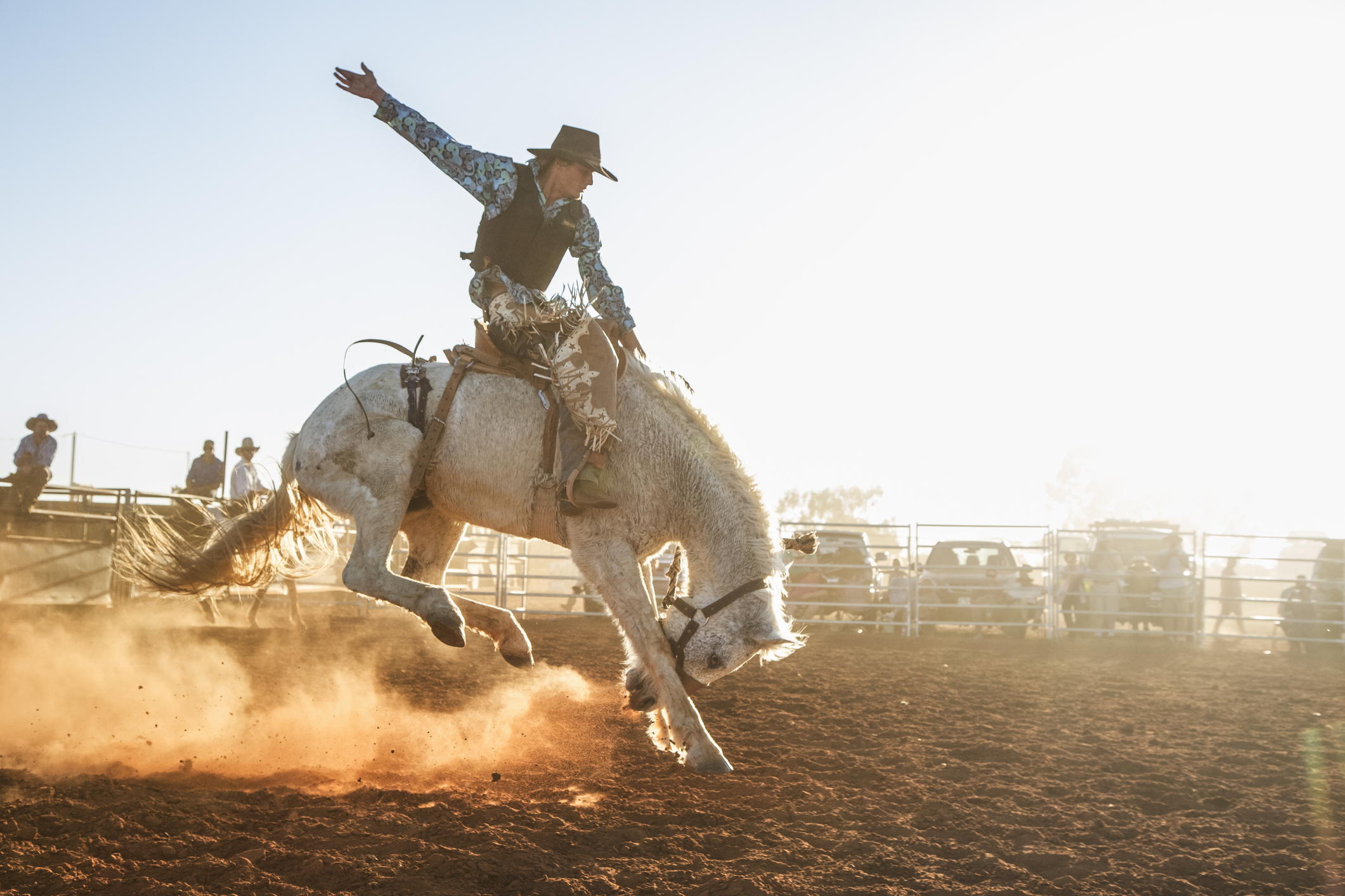 Person in cowboy attire riding a bucking horse at a rodeo, surrounded by audience members seated in bleachers with some parked cars in the background