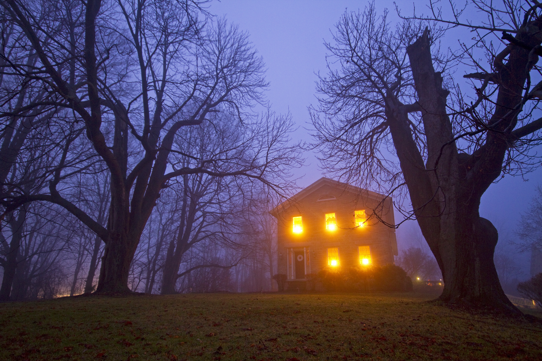 A large house with brightly lit windows is surrounded by leafless trees in a foggy, eerie setting. The scene has a mysterious and haunting atmosphere
