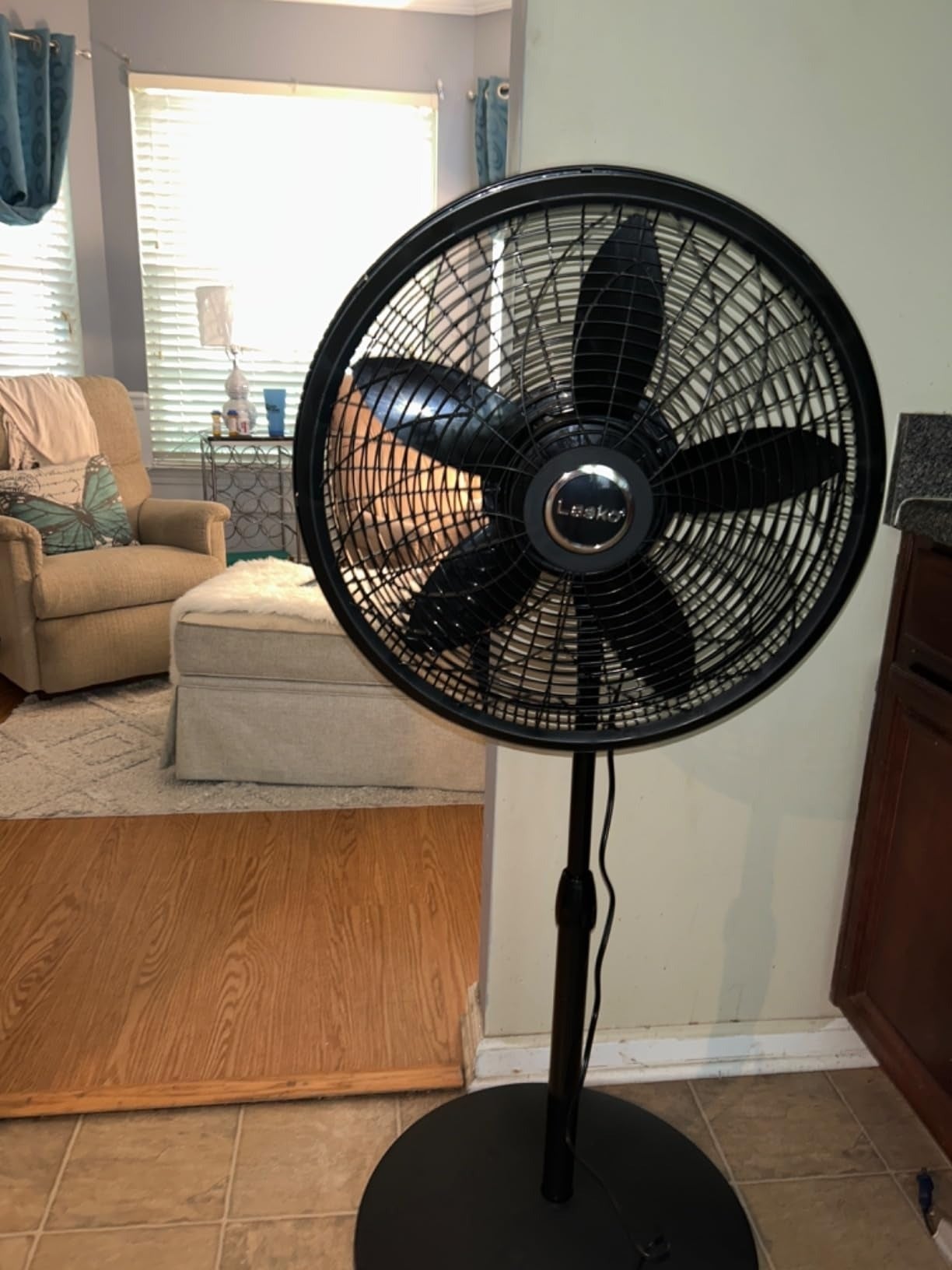 A achromatic  Lasko lasting  instrumentality   is placed successful  a surviving  room