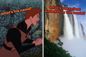 On the left, the prince from Sleeping Beauty labeled what's his name, and on the right, a waterfall labeled what's the tallest waterfall in the world