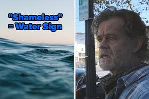 A split image shows waves on the left labeled "Shameless = Water Sign" and William H. Macy on the right wearing a checked shirt and looking concerned