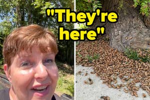 A person with short hair reacts to a large number of cicada shells near the base of a tree. Text reads: "They're here."