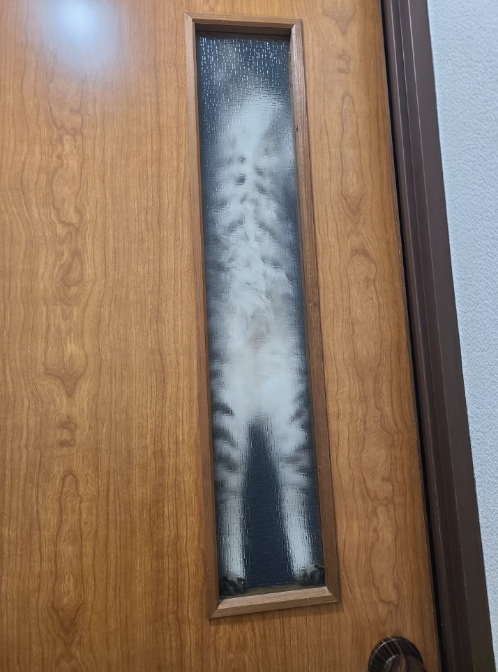 Cat standing upright with its paws up against a narrow glass panel on a wooden door