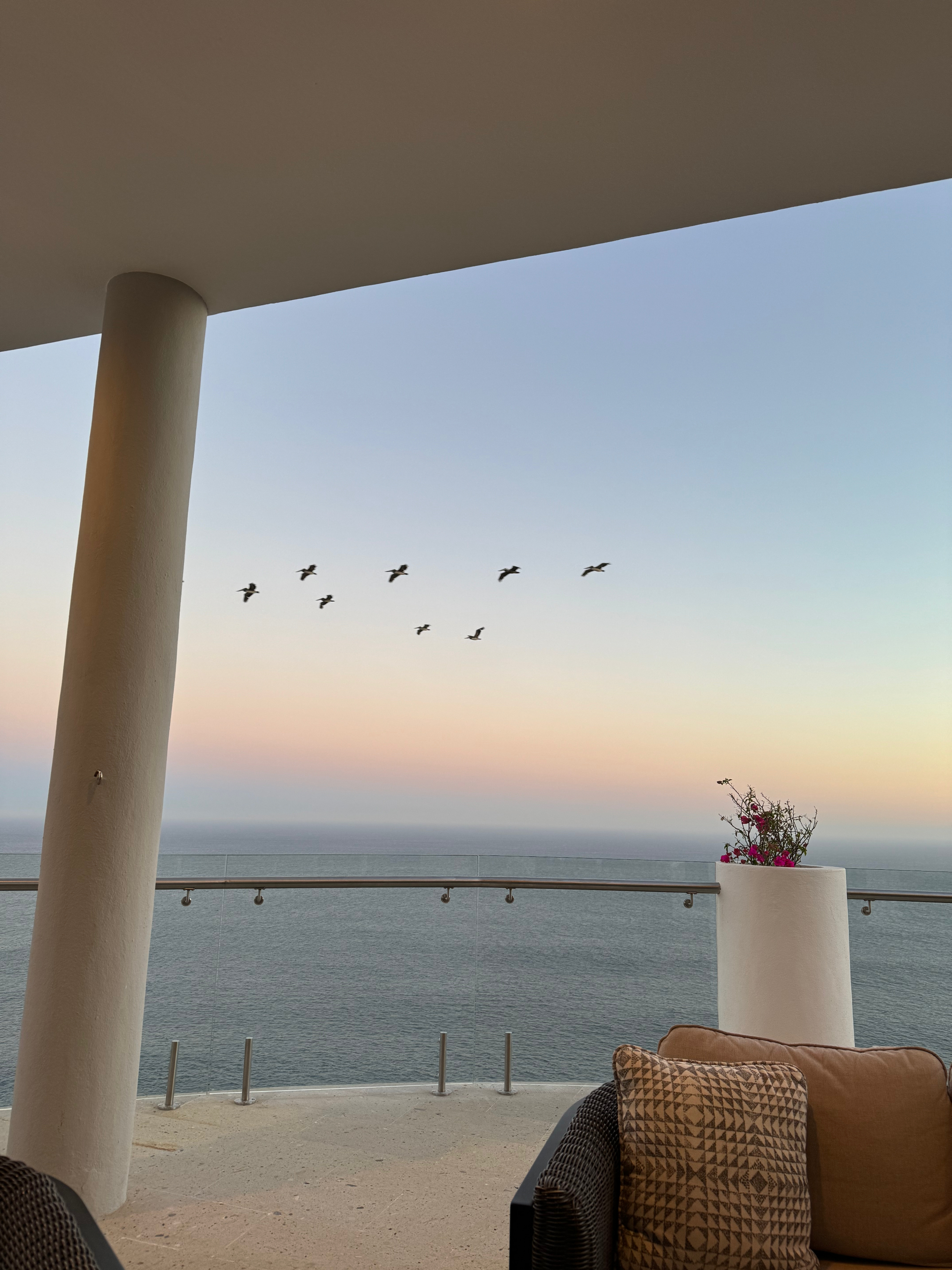 Oceanfront balcony view with a clear sky, flying birds, and a distant horizon. There are lounge chairs and a flowering plant on the balcony