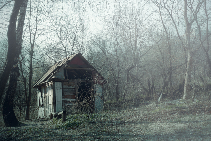 A small, dilapidated wooden shack stands alone in a leafless, desolate forest. The ground is covered with sparse grass and dead leaves