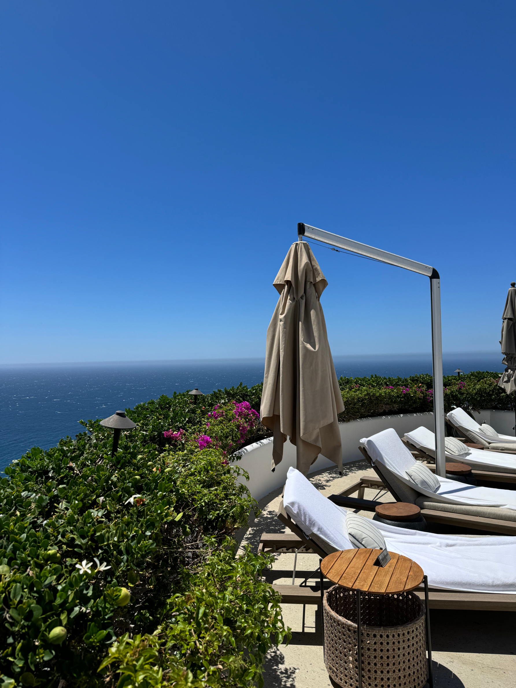 A scenic view of a coastal resort featuring lounge chairs with umbrellas beside a lush green hedge, overlooking the ocean