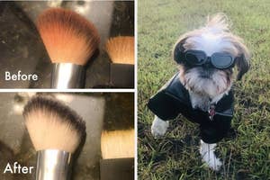 Before and after images of a makeup brush, showcasing a cleaning method. On the right, a small dog is dressed in black clothing and wearing sunglasses