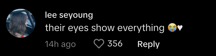 lee seyoung's comment: "their eyes show everything" with crying and heart emojis. The comment has 356 likes and was posted 14 hours ago