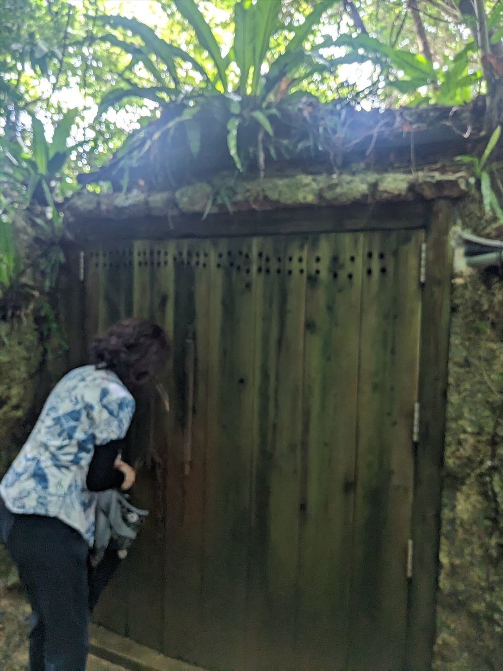 女性が森の中の木製の扉を調べている。