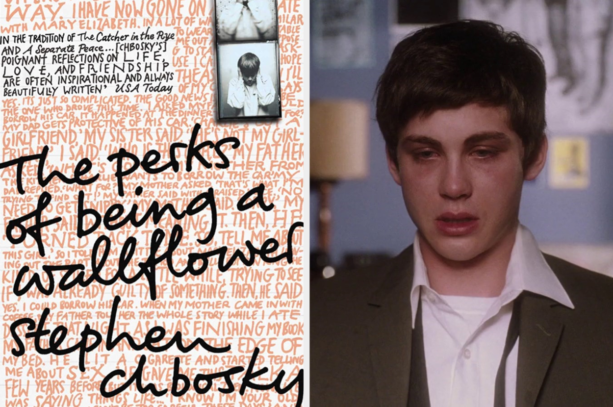 Film poster for &quot;The Perks of Being a Wallflower&quot; next to an emotional scene featuring its male protagonist