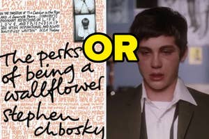 Two images: left shows "The Perks of Being a Wallflower" book cover, right is character Charlie from film adaptation