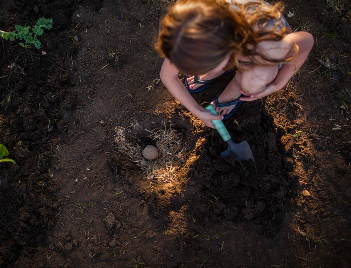 Person planting a sapling with a trowel in soil