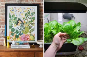 Left: A framed abstract floral print above a bookshelf. Right: Hand picking spinach from an indoor smart garden