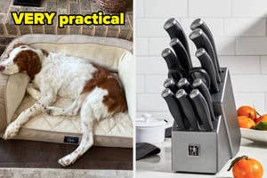 Dog resting on a sofa cushion and a set of knives in a block on a kitchen counter