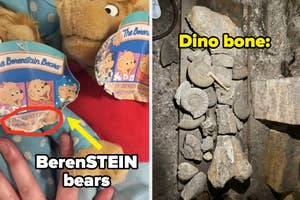 Stuffed Berenstain Bears toys; fossilized dinosaur bone embedded in rock