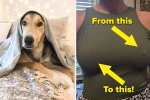 Dog under blanket on the left; woman wearing sleeveless top with weight loss arrows on right