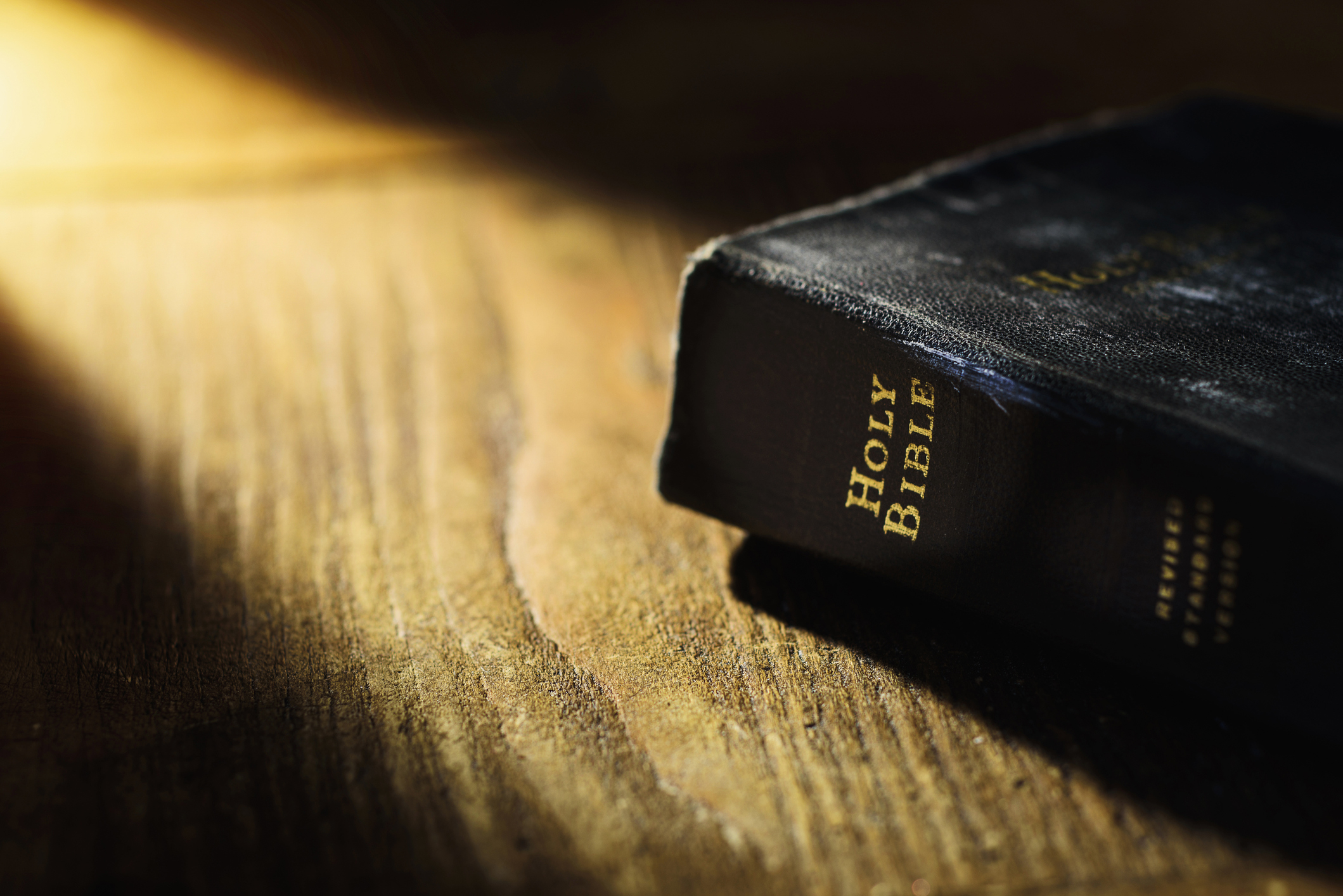 A close-up of a Holy Bible on a wooden surface with sunlight highlighting the title