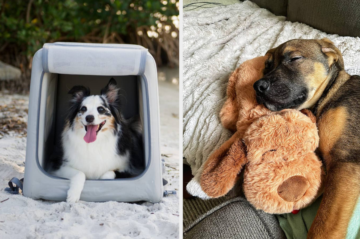 (left) travel carrier (right) snuggle puppy