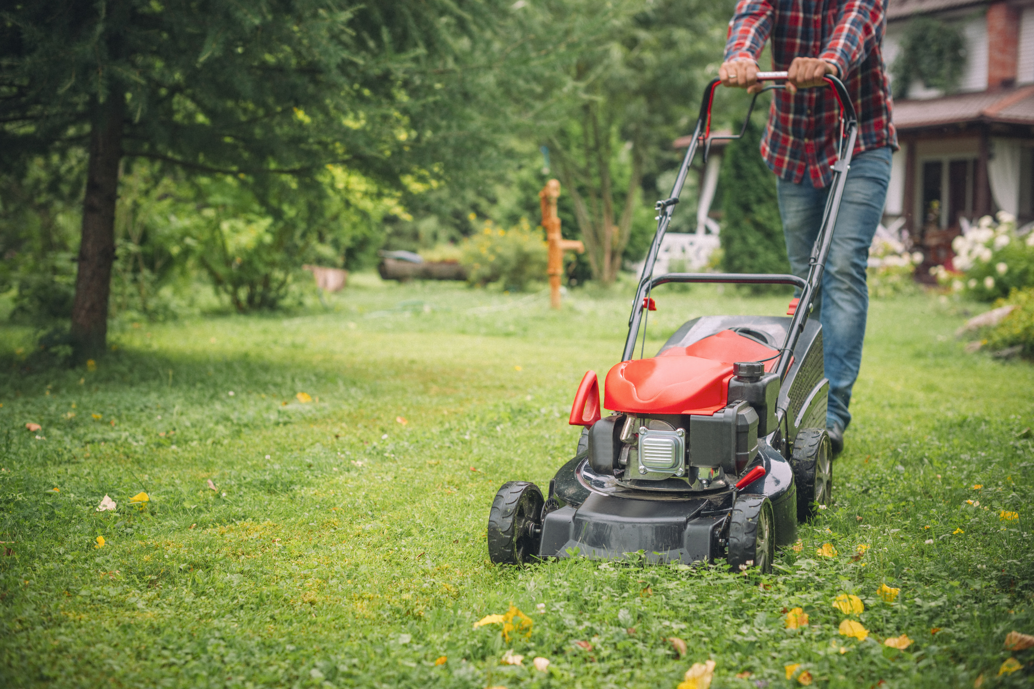 Person in a plaid shirt mowing a green lawn with a red lawnmower, with trees and a house in the background