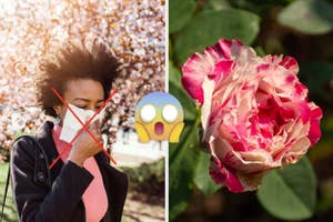 A person wears a face mask with a red "X" over them, next to an emoji expressing shock and a close-up of a blooming flower