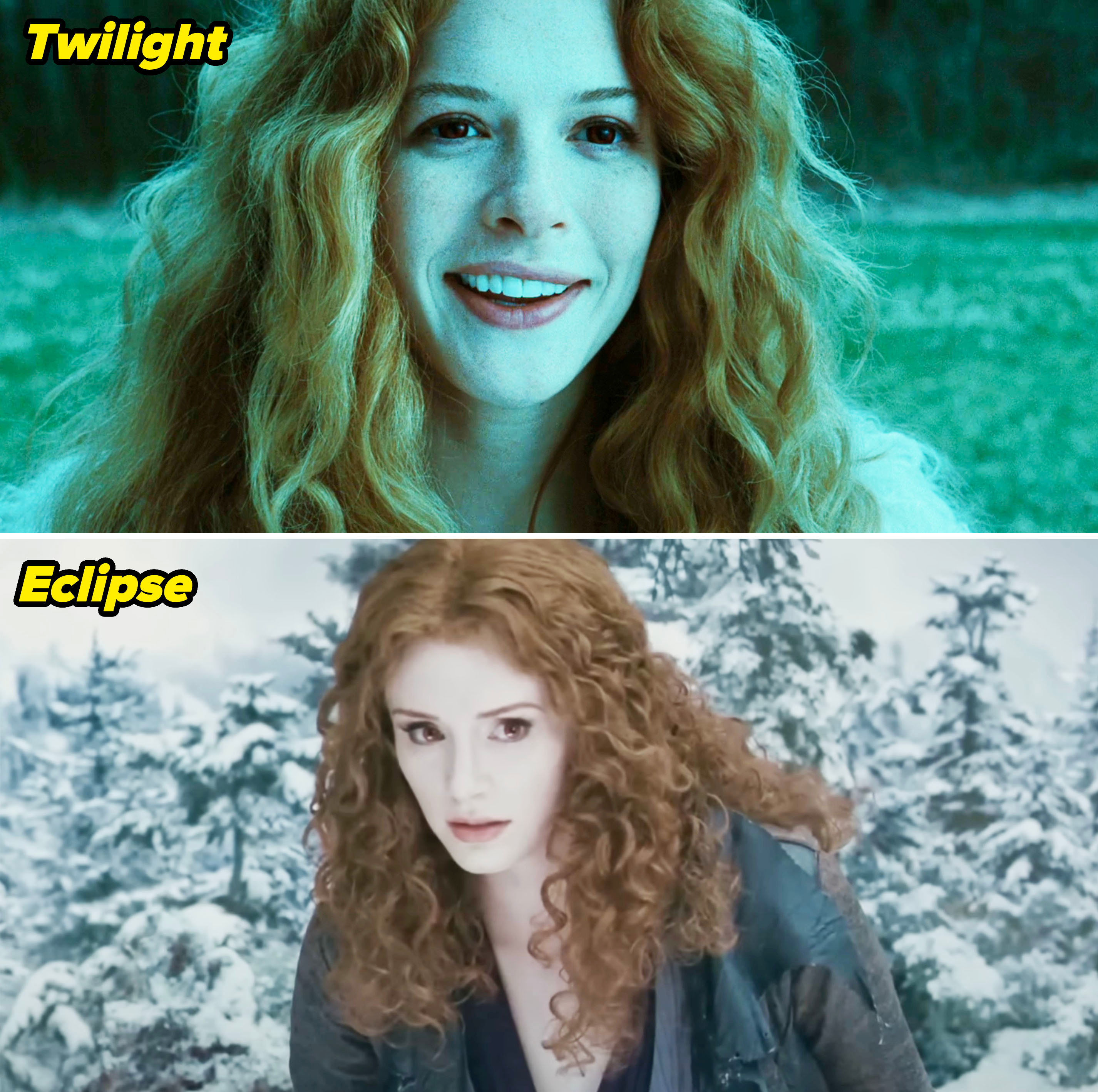 Bryce Dallas Howard in two different scenes from "The Twilight Saga." The top image shows her smiling outdoors, and the bottom image shows her in a snowy forest, serious