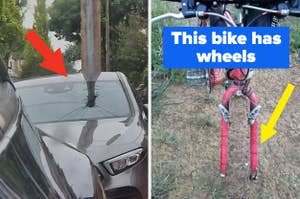 Left photo: A person holding a plump cat, indicated by a red arrow. Right photo: A bike missing its wheels, indicated by a yellow arrow, with text "This bike has wheels"